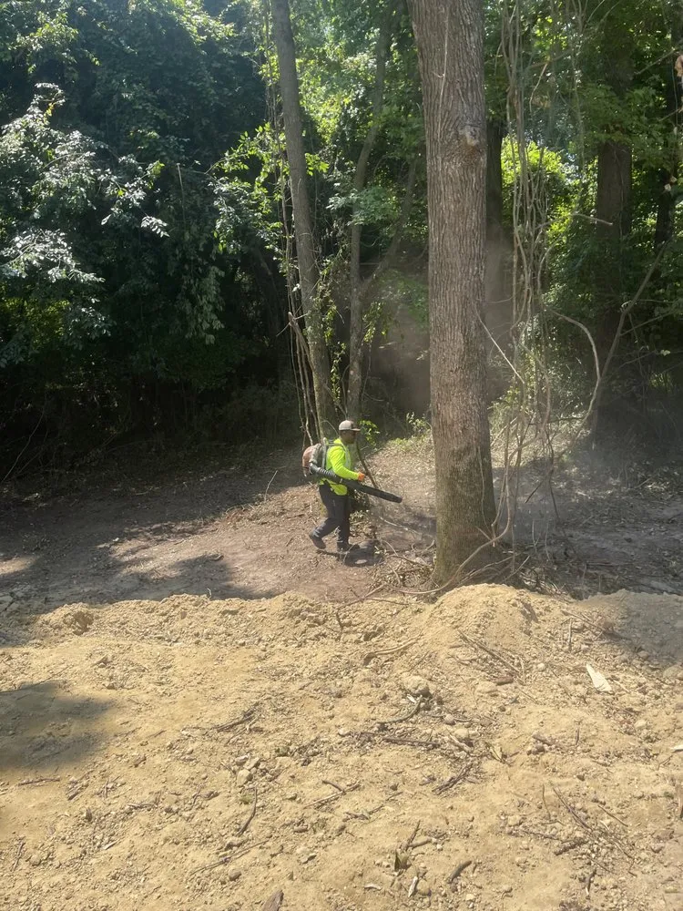 Trusted lawn care service in Faison, NC by White's Tree Removal & Hauling