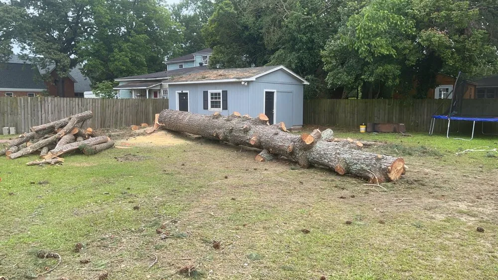 Professional outdoor landscaping experts serving Faison, NC - White's Tree Removal & Hauling