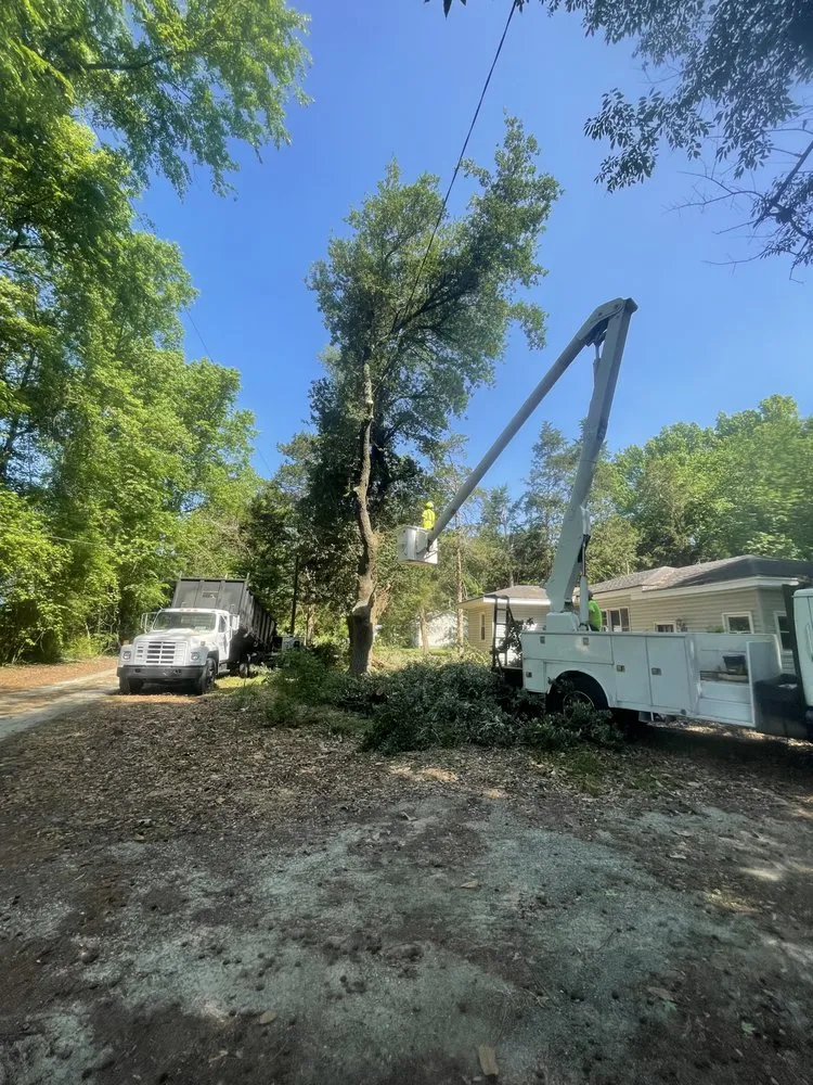 Professional garden landscaping in Faison, NC by White's Tree Removal & Hauling