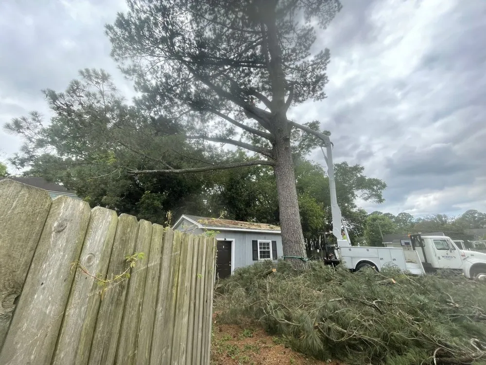 Custom landscape design in Faison, NC by White's Tree Removal & Hauling