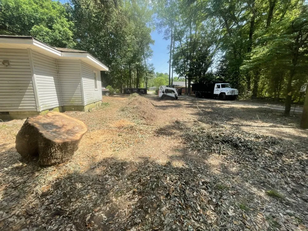 Trusted yard cleanup service in Faison, NC - White's Tree Removal & Hauling