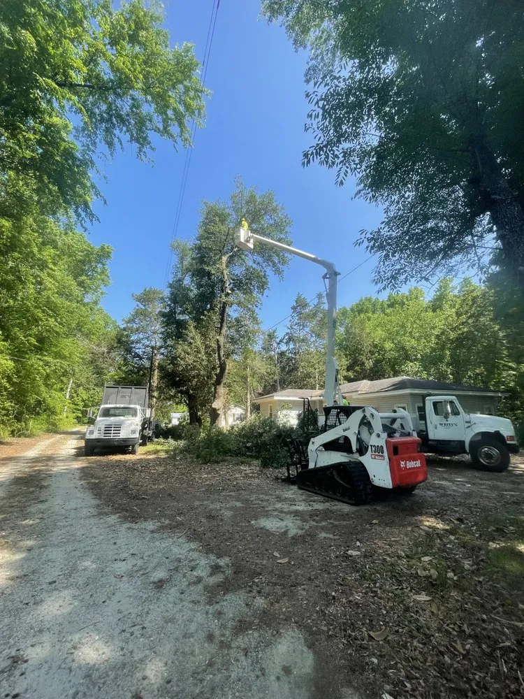 Top-rated landscape design for homes in Faison, NC by White's Tree Removal & Hauling