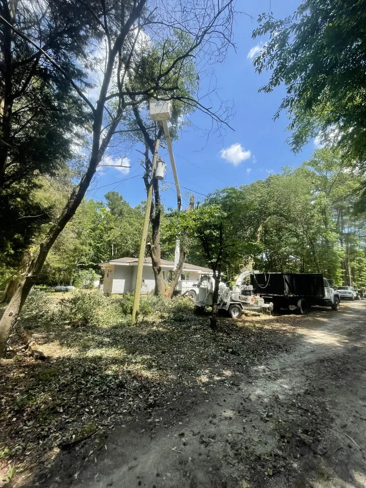 Top-rated lawn care service for homes in Faison, NC by White's Tree Removal & Hauling