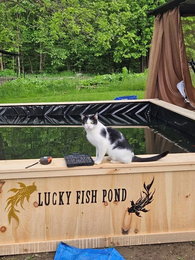 Top-rated lawn mowing service experts serving Cherry Valley, NY - Whitestone Property Solutions