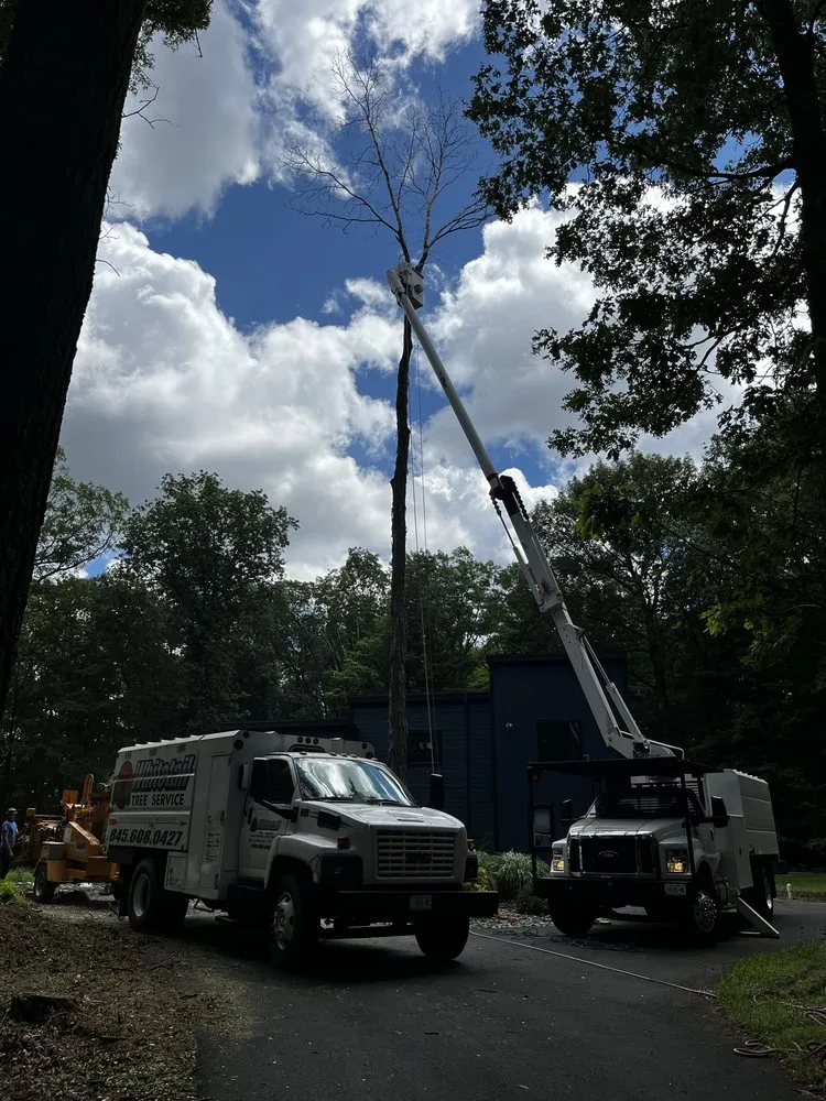Reliable landscape installation in Warwick, NY by Whitetail Landscaping & Tree Service