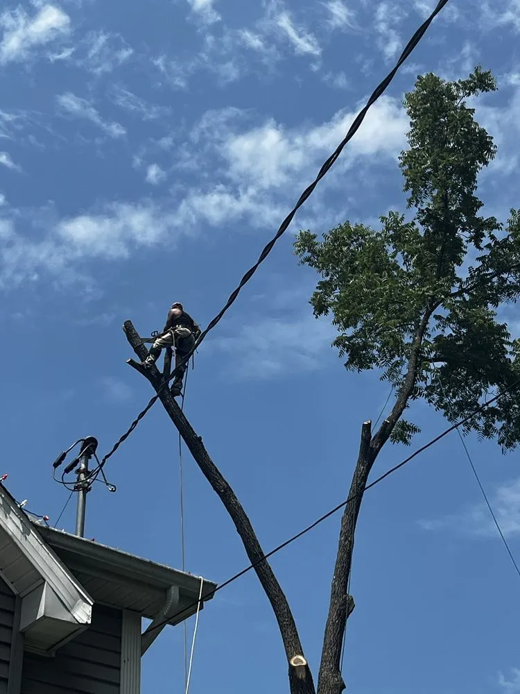 Reliable lawn care service for beautiful yards across Warwick, NY - Whitetail Landscaping & Tree Service