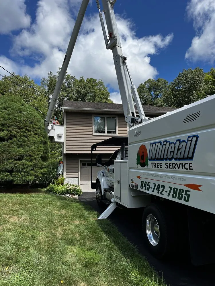 Expert landscape installation with custom design across Warwick, NY - Whitetail Landscaping & Tree Service