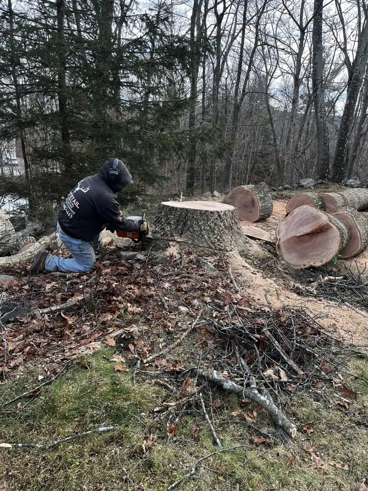 Reliable lawn mowing service experts serving Warwick, NY - Whitetail Landscaping & Tree Service