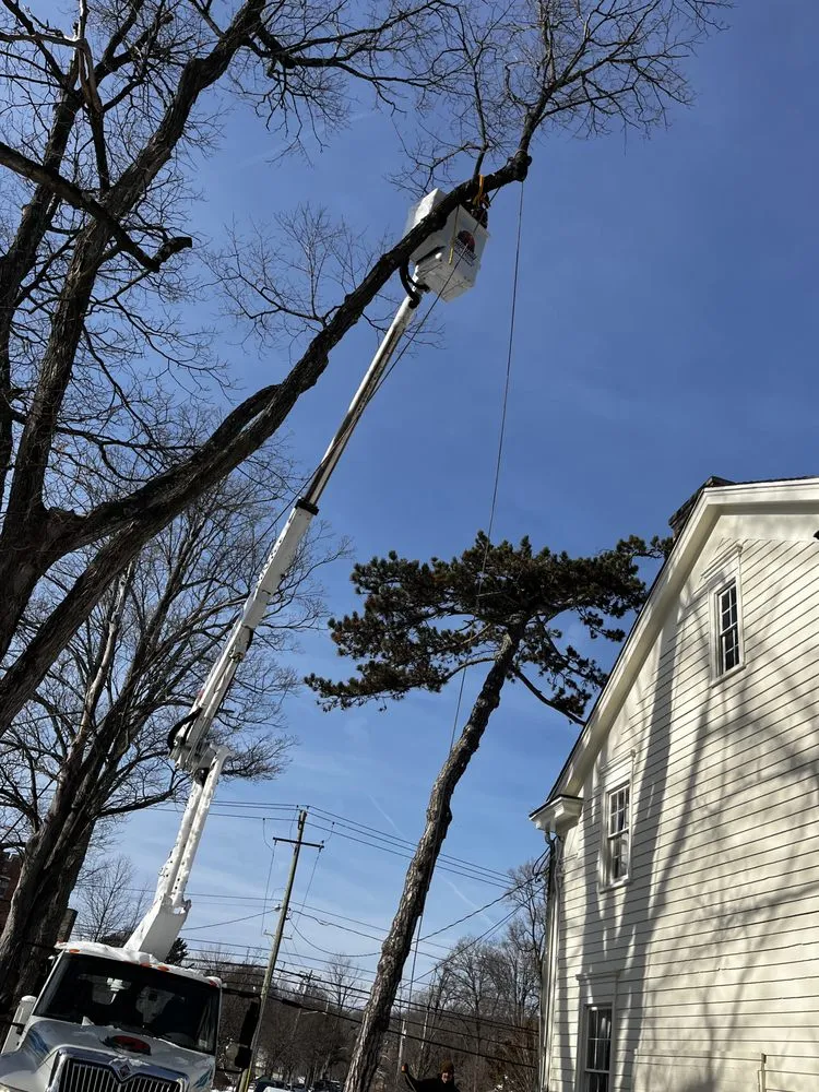 Top-rated landscaping services in Warwick, NY - Whitetail Landscaping & Tree Service