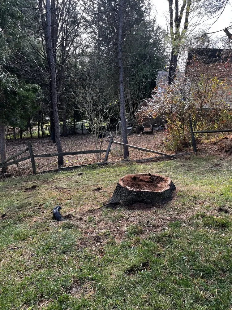 Expert yard maintenance in Warwick, NY by Whitetail Landscaping & Tree Service