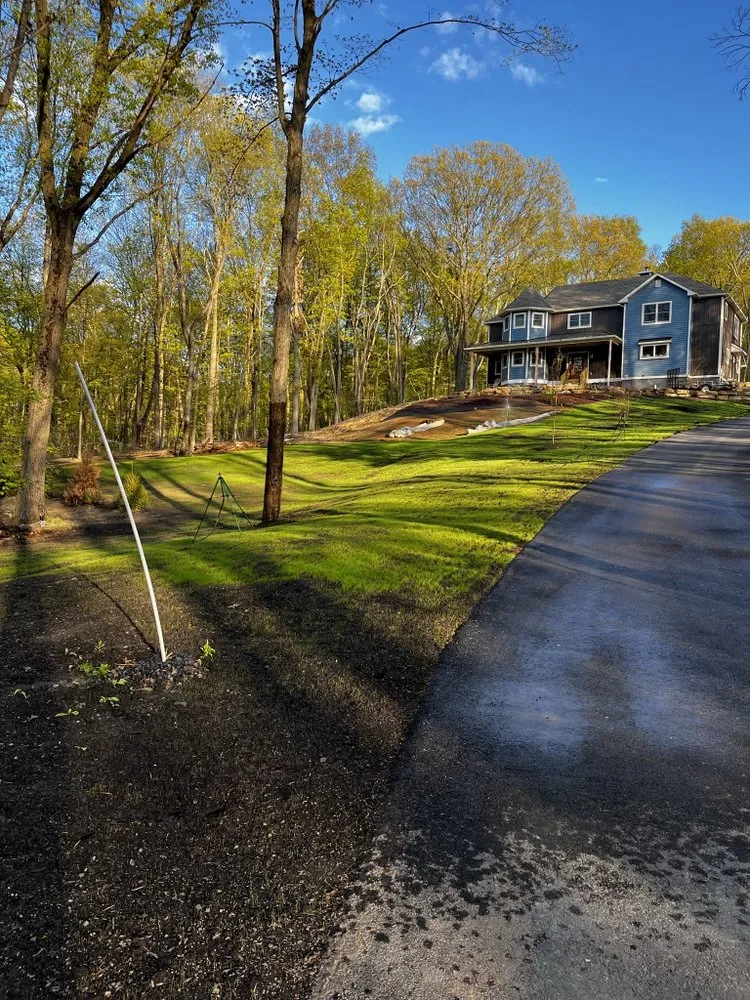Top-rated yard cleanup service experts serving Warwick, NY - Whitetail Landscaping & Tree Service