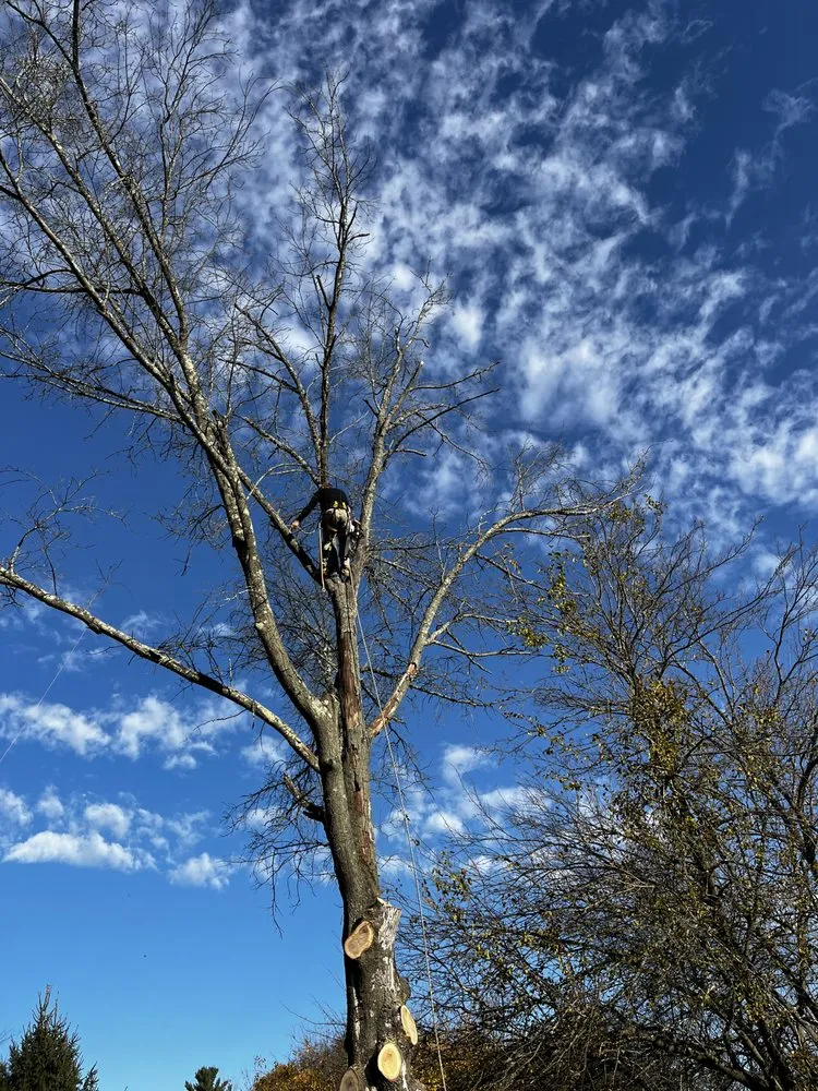 Trusted lawn care service in Warwick, NY by Whitetail Landscaping & Tree Service