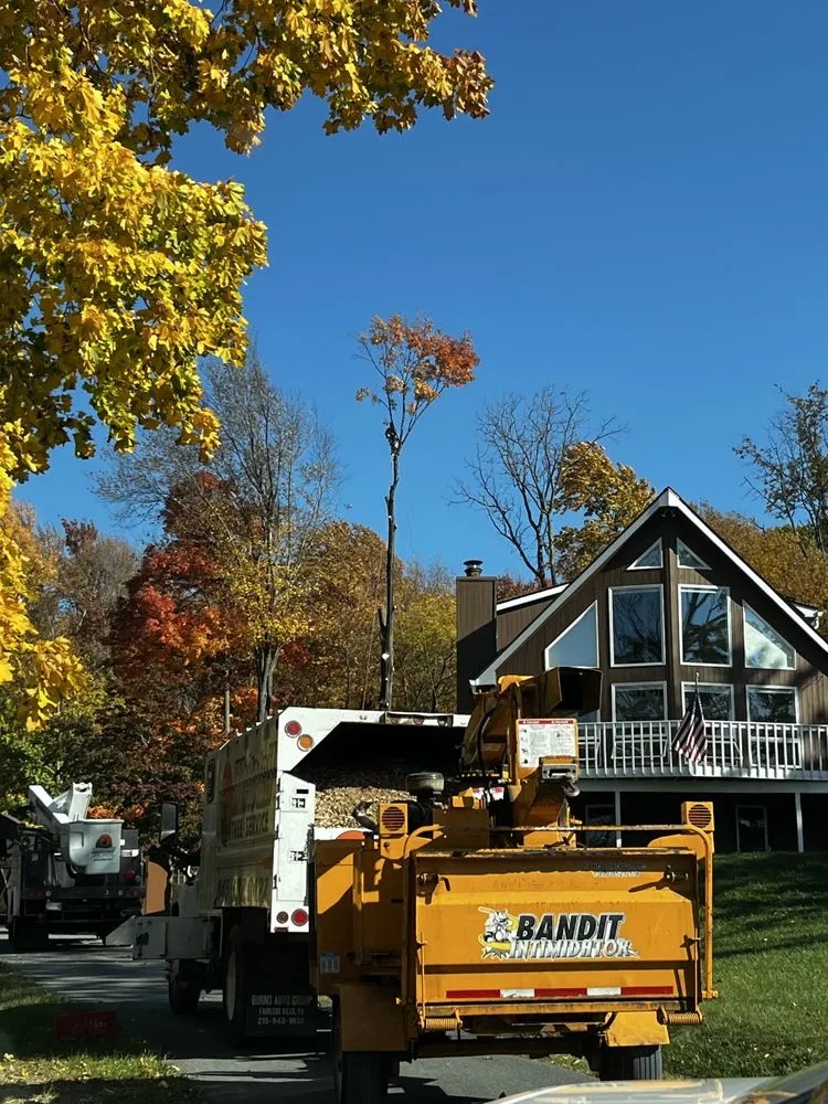 Professional landscape design experts serving Warwick, NY - Whitetail Landscaping & Tree Service