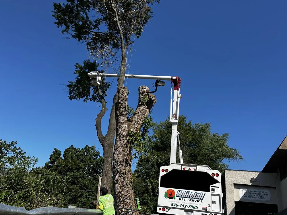 Professional garden landscaping experts serving Warwick, NY - Whitetail Landscaping & Tree Service