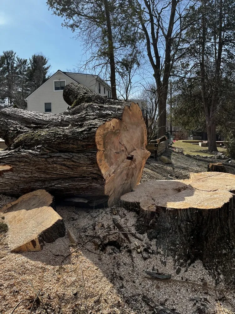 Reliable landscape design in Warwick, NY - Whitetail Landscaping & Tree Service