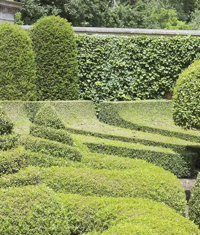 Top-rated lawn mowing service for year-round maintenance across Prescott Valley, AZ - Whitetail Landscaping