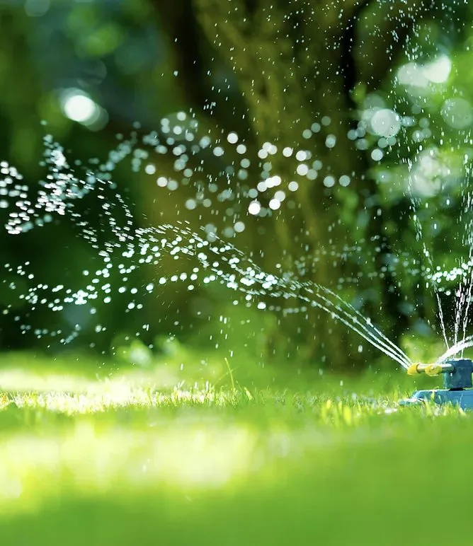 Expert yard maintenance near you across Prescott Valley, AZ - Whitetail Landscaping