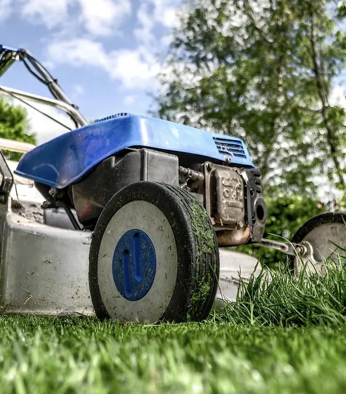 Expert garden landscaping for beautiful yards in Prescott Valley, AZ by Whitetail Landscaping