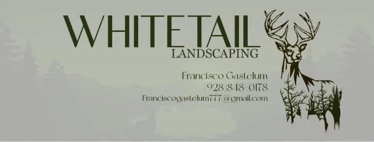 Trusted garden landscaping in Prescott Valley, AZ - Whitetail Landscaping