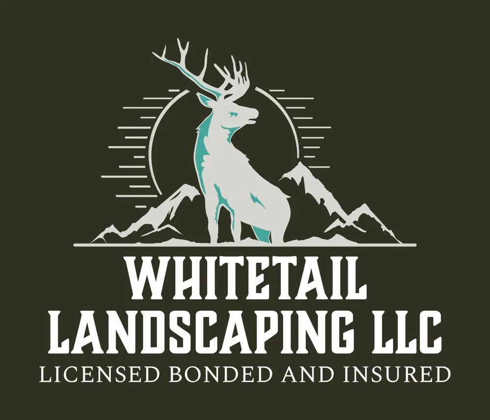 Trusted landscape installation in Prescott Valley, AZ by Whitetail Landscaping