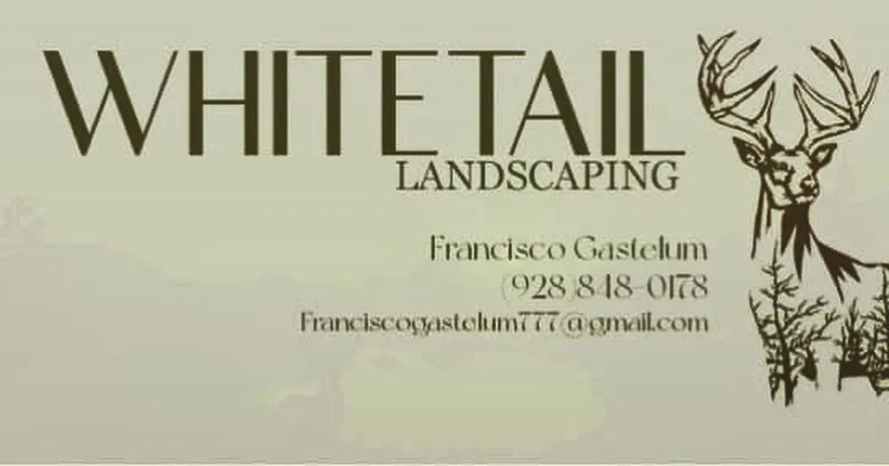 Custom residential landscaping for homes across Prescott Valley, AZ - Whitetail Landscaping