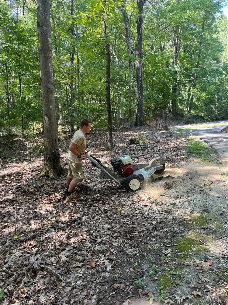 Local landscape installation experts serving Charlotte, NC - Whitetail Residential Services