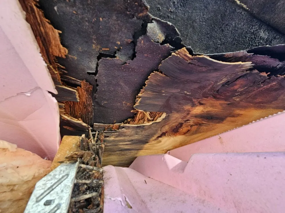 Custom yard maintenance for year-round maintenance across Whiteville, NC - Whiteville Landscape and Services