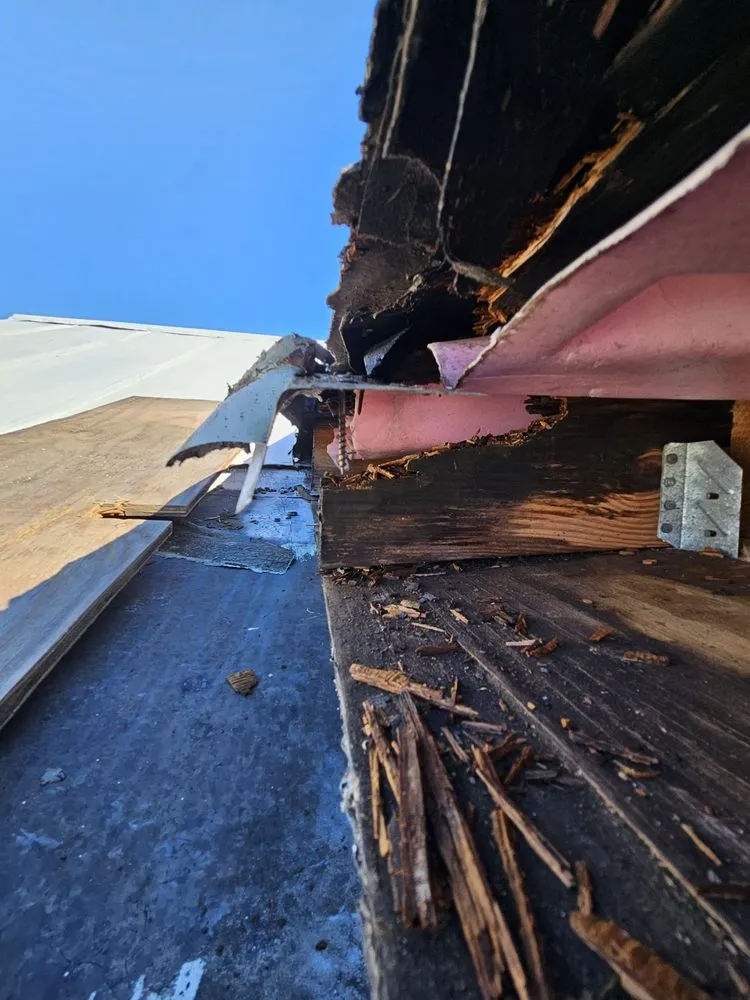 Professional yard cleanup service with custom design in Whiteville, NC by Whiteville Landscape and Services