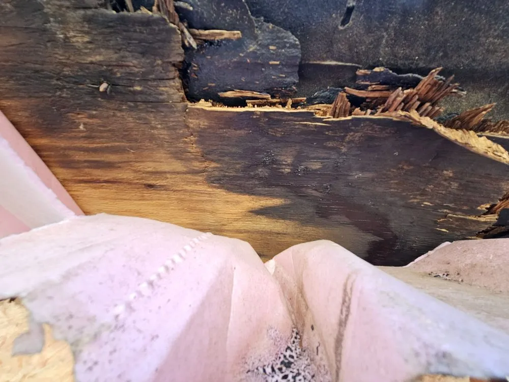 Trusted garden landscaping for beautiful yards across Whiteville, NC - Whiteville Landscape and Services