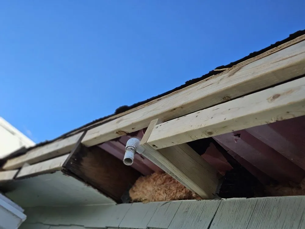 Affordable lawn care service experts serving Whiteville, NC - Whiteville Landscape and Services