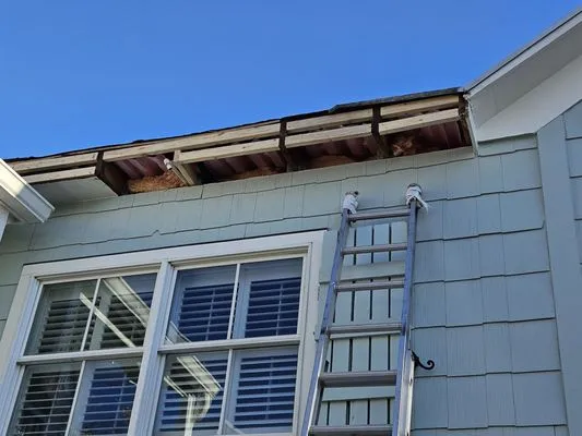 Whiteville Landscape and Services