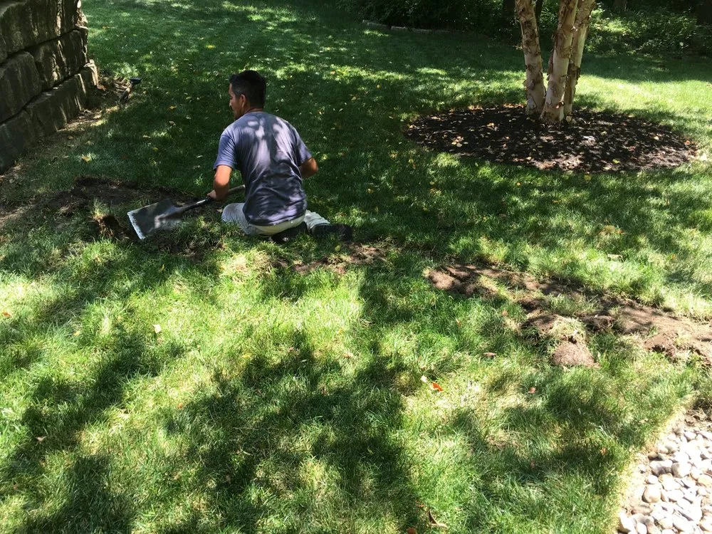 Reliable landscaping services with custom design across Kansas City, KS - Whitewood Lawncare