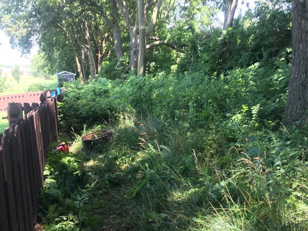 Reliable landscape installation in Kansas City, KS - Whitewood Lawncare