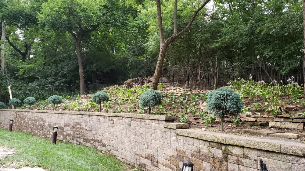 Reliable lawn care service for homes in Kansas City, KS by Whitewood Lawncare