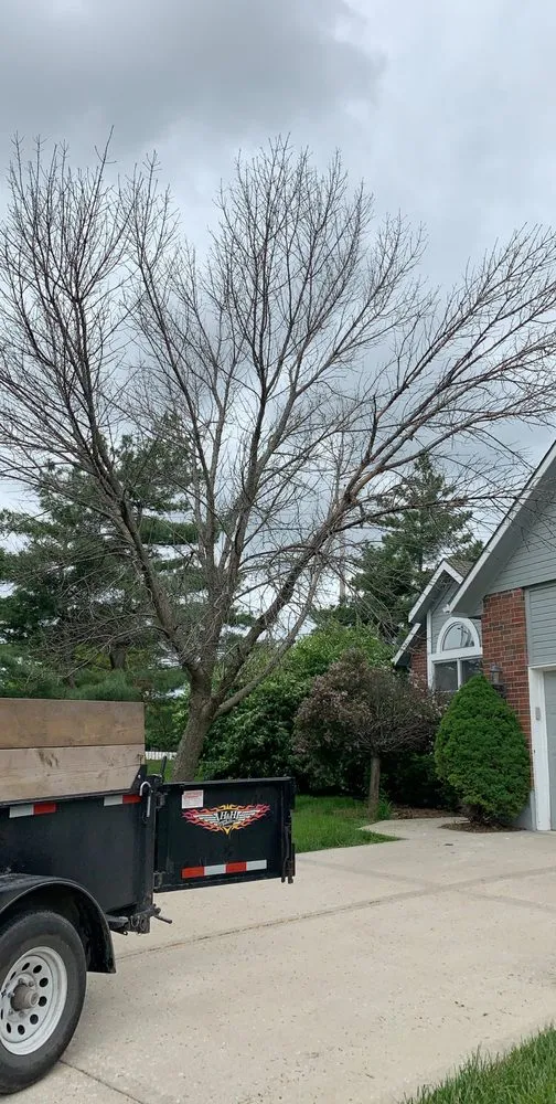 Expert landscaping services experts serving Kansas City, KS - Whitewood Lawncare