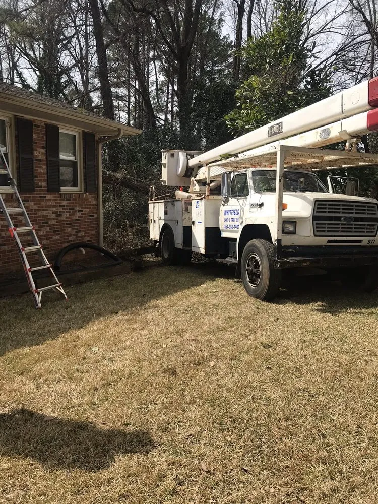 Professional yard cleanup service for year-round maintenance in Pendelton, SC by Whitfield Land and Tree