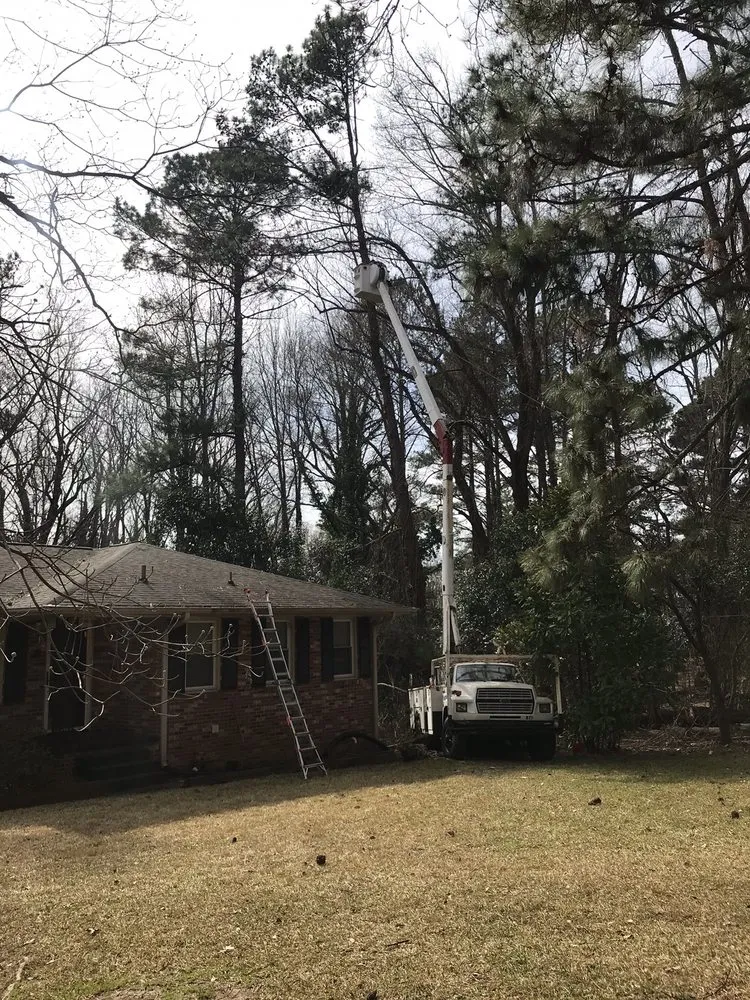 Top-rated landscaping services in Pendelton, SC - Whitfield Land and Tree