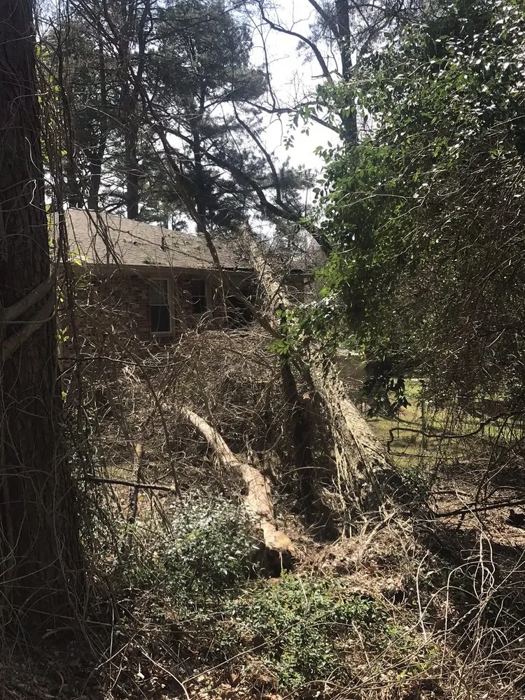 Expert lawn mowing service in Pendelton, SC - Whitfield Land and Tree