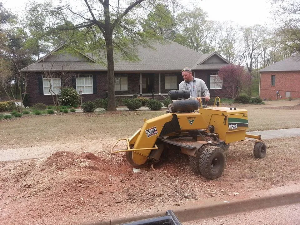 Professional lawn mowing service in Pendelton, SC by Whitfield Land and Tree