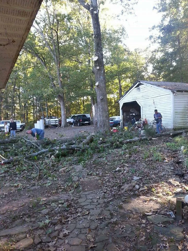 Professional garden landscaping in Pendelton, SC - Whitfield Land and Tree