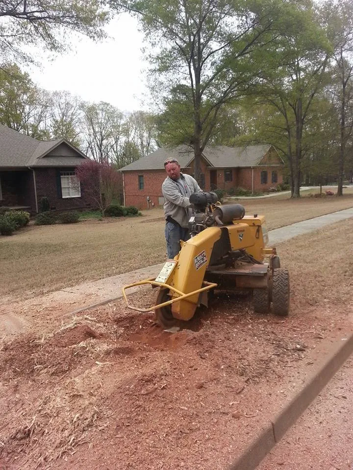 Affordable lawn mowing service in Pendelton, SC by Whitfield Land and Tree