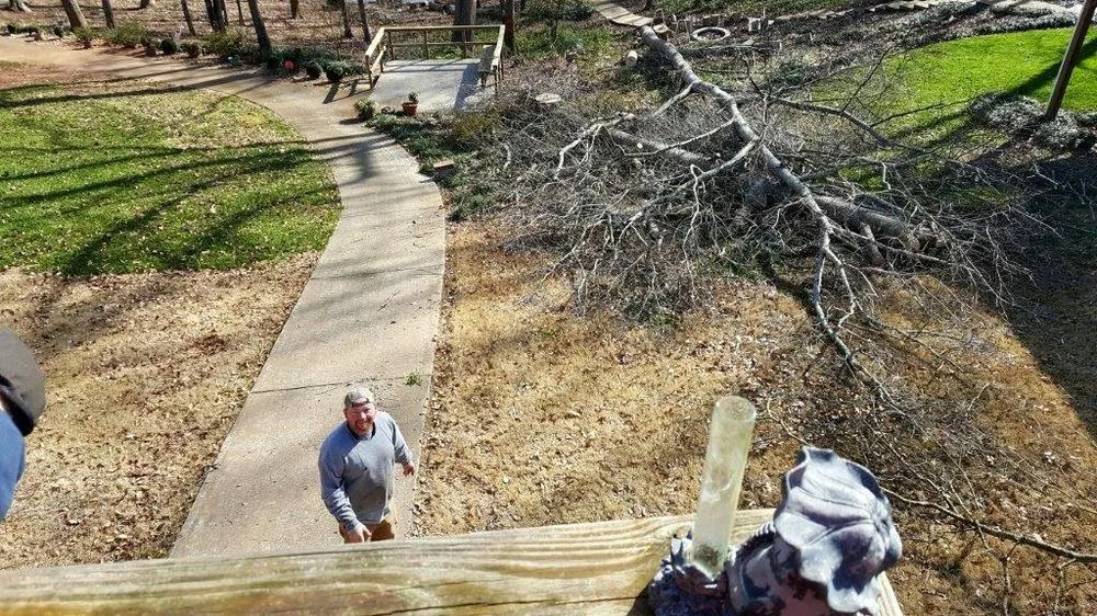 Reliable yard cleanup service in Pendelton, SC by Whitfield Land and Tree