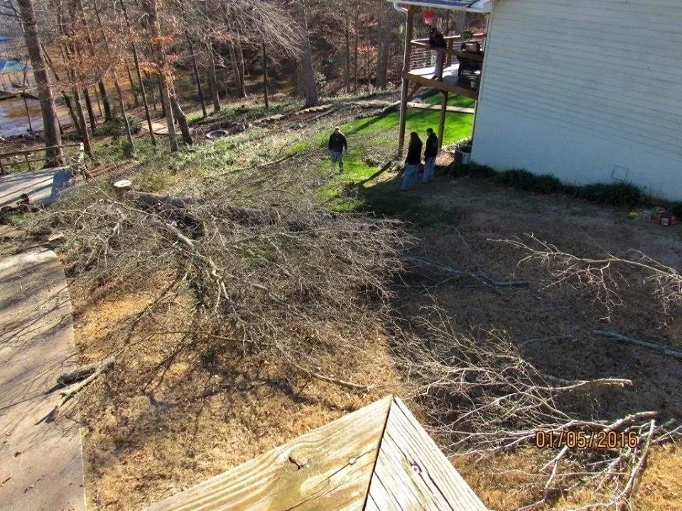 Top-rated residential landscaping in Pendelton, SC by Whitfield Land and Tree