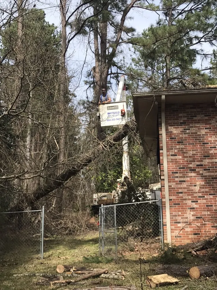 Professional residential landscaping near you in Pendelton, SC by Whitfield Land and Tree