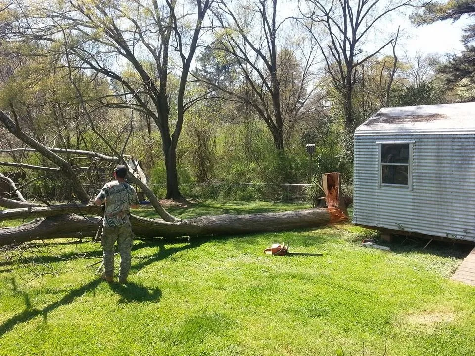Custom residential landscaping for year-round maintenance across Pendelton, SC - Whitfield Land and Tree
