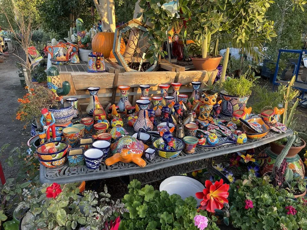 Affordable yard maintenance in Phoenix, AZ - Whitfill Nurseries