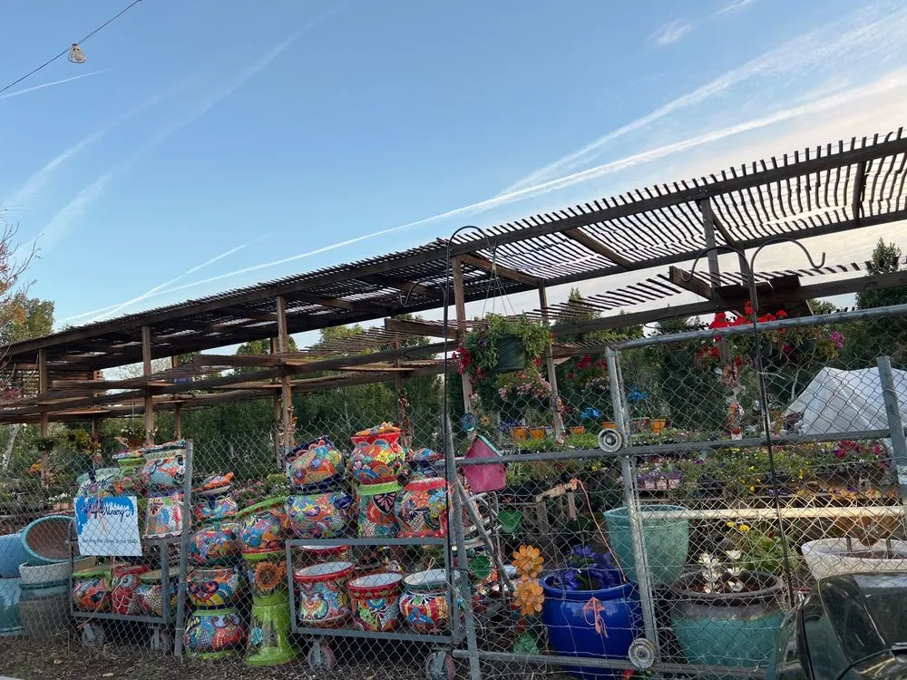 Expert landscape installation for outdoor upgrades across Phoenix, AZ - Whitfill Nurseries