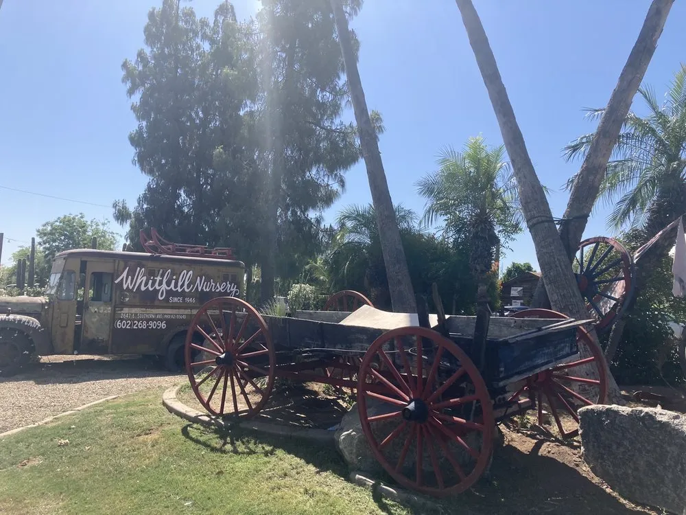 Affordable garden landscaping in Phoenix, AZ by Whitfill Nurseries