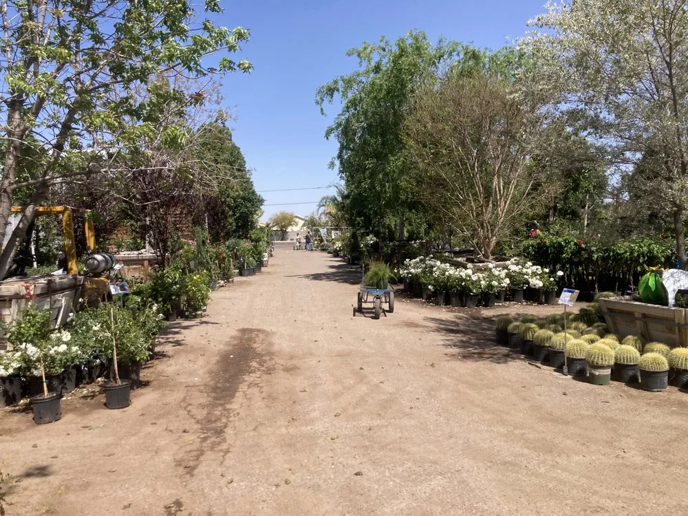 Expert lawn mowing service near you across Phoenix, AZ - Whitfill Nurseries