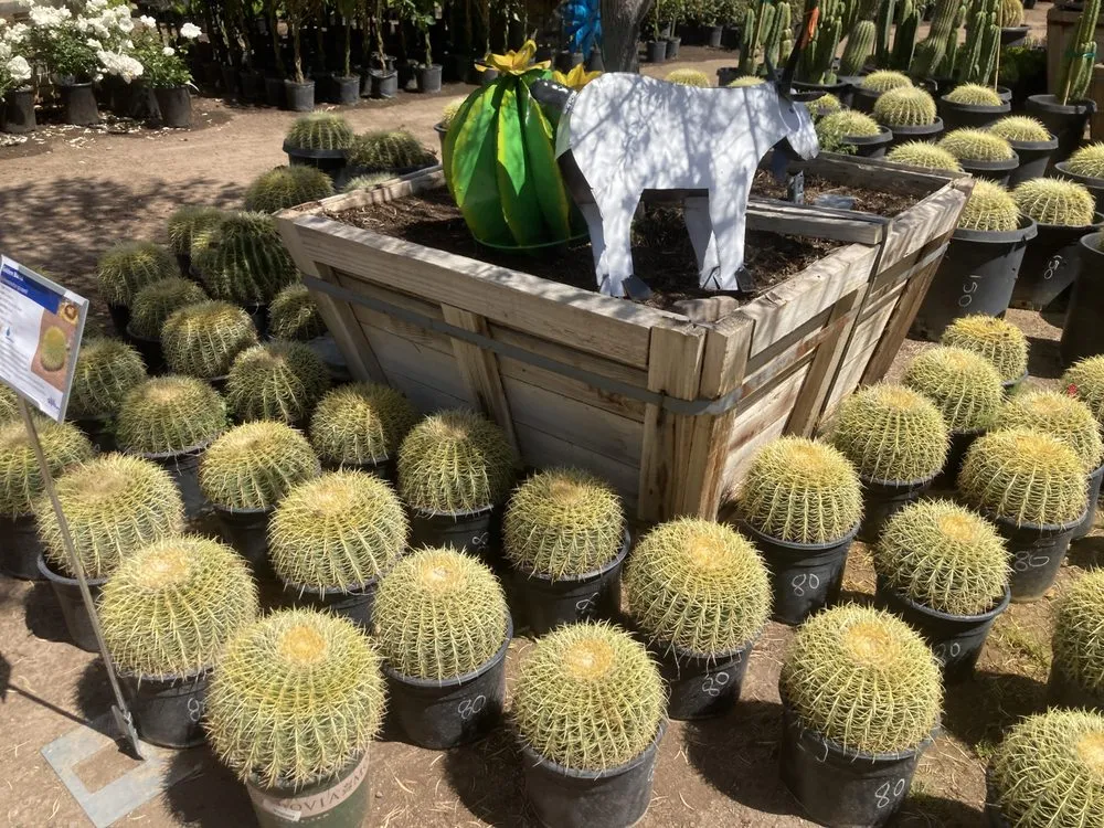 Expert landscape installation near you across Phoenix, AZ - Whitfill Nurseries